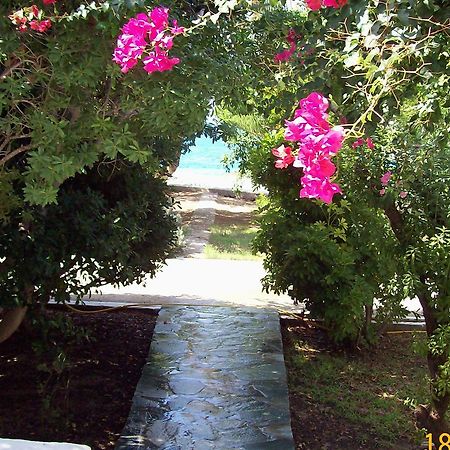 Saint Nicolas Bungalows Arkasa Eksteriør bilde