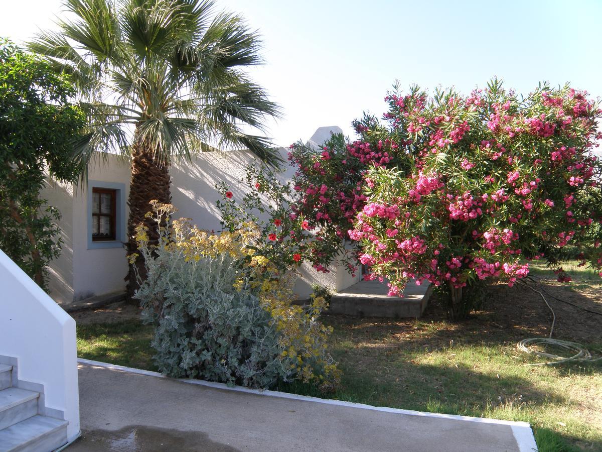 Saint Nicolas Bungalows Arkasa Eksteriør bilde